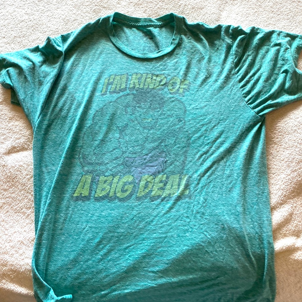 Hulk t-shirt, large